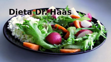 Dieta Haas: Análisis de dietas milagro (XXIV)