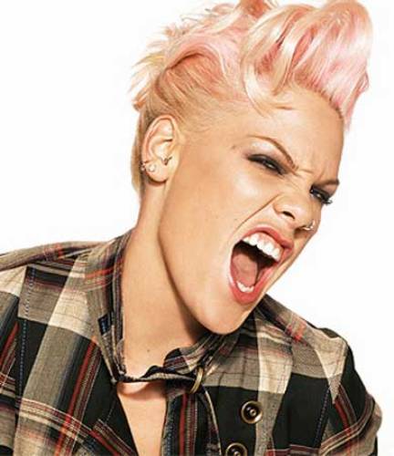 ¿Pink podría ser bisexual?