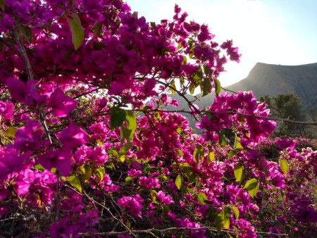 Img 20160312 174204339 Hdr