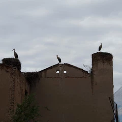 Foto 11 de 37 de la galería canon-eos-m6 en Xataka Foto