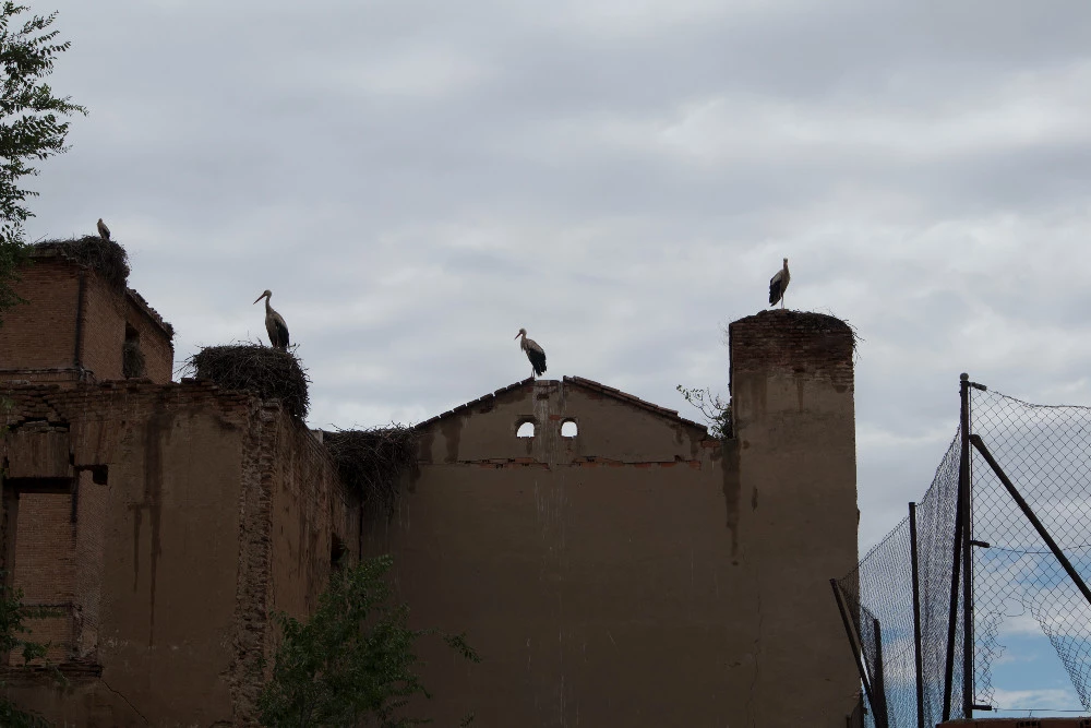 Foto de Canon EOS M6 (11/37)