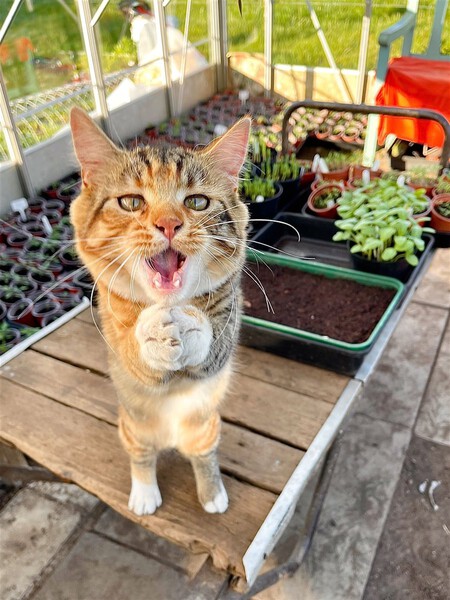 Purr Etty Pleeeeaase