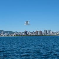 El mar Caspio se asoma al abismo: el colapso del lago más grande del mundo ya tiene fecha y culpables 