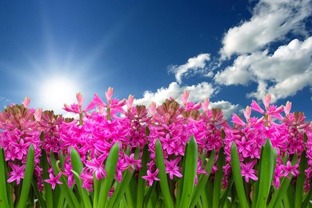 Compañeros de ruta: disfrutando del aire libre de la primavera