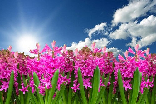 Compañeros de ruta: disfrutando del aire libre de la primavera