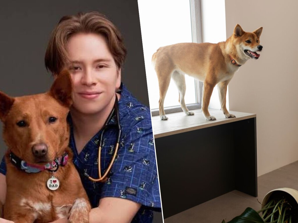 Enzo Roubaud, veterinario: «Los perros no lloran cuando se quedan solos en casa por ser unos mimados; pocas veces es por culpa del dueño»
