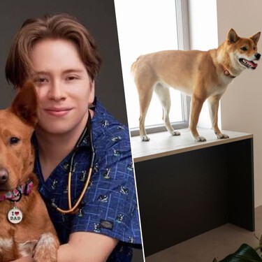 Enzo Roubaud, veterinario: "El síndrome de ansiedad por separación de los perros tiene múltiples causas, y no es por cómo lo criaste"