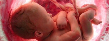 La placenta protege al bebé de la Covid, incluso si la madre sufre una infección grave durante el embarazo