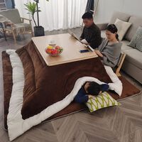 Así es el kotatsu, la peculiar versión japonesa de la típica mesa camilla para ahorrar electricidad y calefacción en invierno