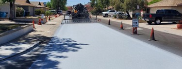 ¿Qué pasa cuando se cambia el asfalto negro por uno gris para combatir el calor? Los científicos han encontrado una víctima inesperada
