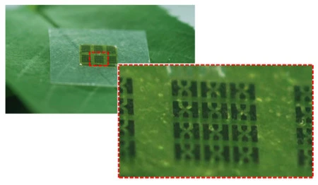 Este chip funciona y está fabricado con nanocelulosa