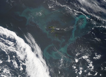 Phytoplankton Bloom Surrounding Chatham Islands Off New Zealand December 1 2013