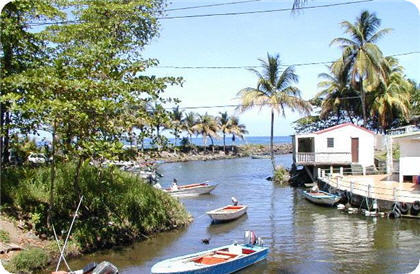 stbarts1