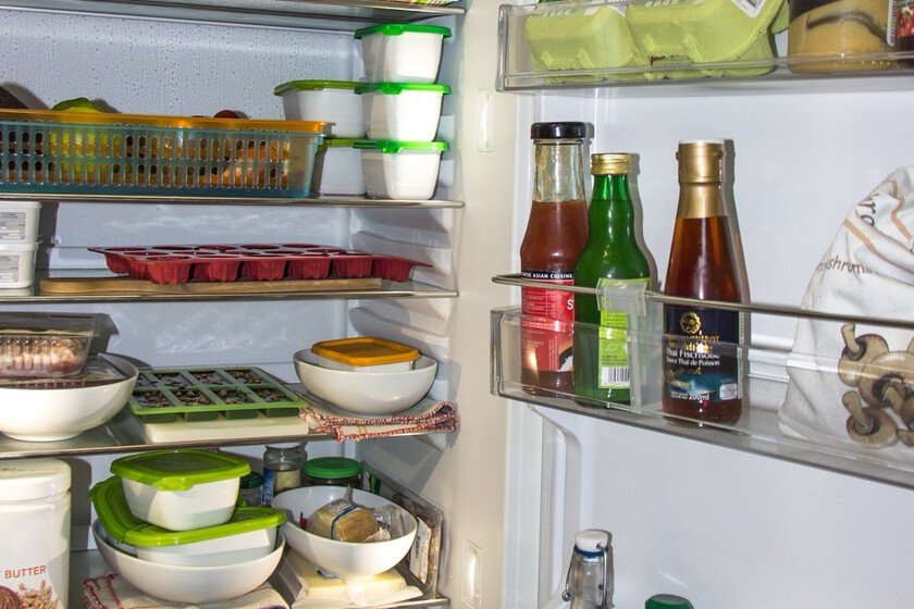 frigo