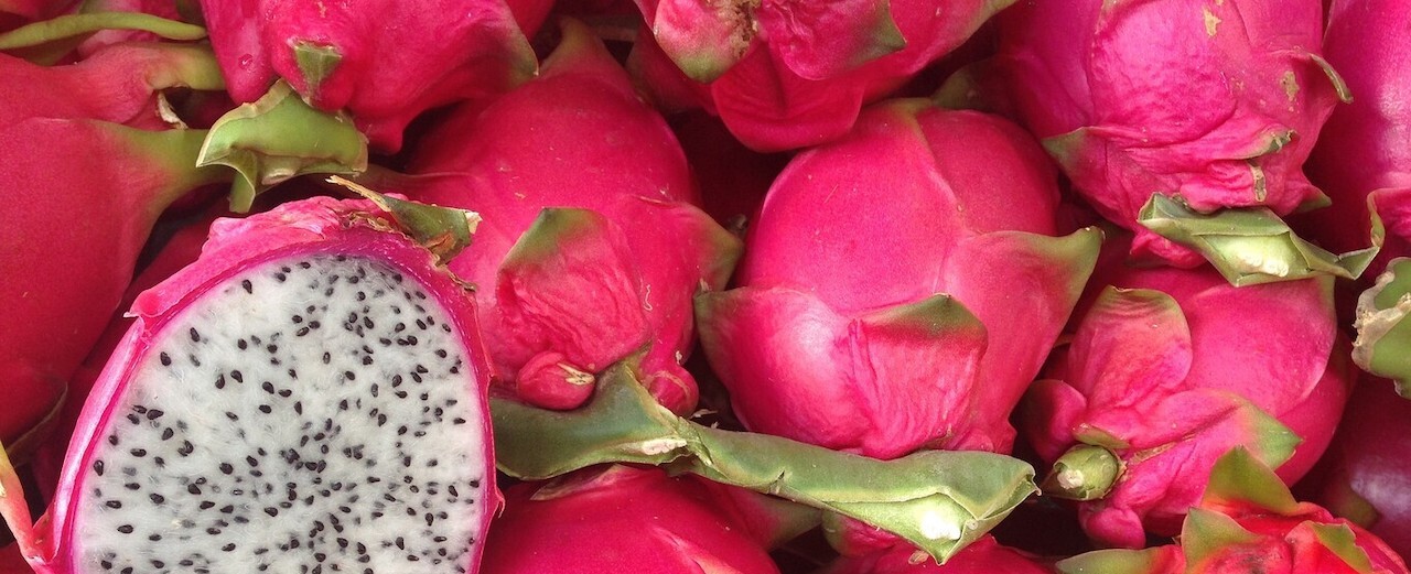 Pitahaya: qué es esta super fruta y cuáles son sus beneficios para nuestra salud