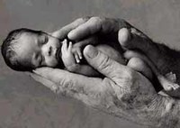 Emolientes para la piel de los prematuros como barrera de protección