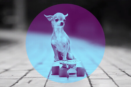 Photoshop Elements y Premiere Elements 2021: los nuevos editores de entrada de foto y vídeo de Adobe llegan al mercado