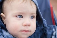 Qué son los probióticos y qué son los prebióticos