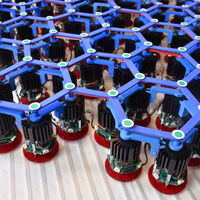 La Universidad de Ámsterdam está jugando a ser Dios: este metamaterial que evoluciona y se mueve por sí solo 