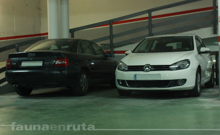 Volkswagen Golf aparcado