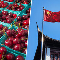 La cereza española llevaba años soñando con un escenario que acaba de hacerse realidad: abrir las puertas de China