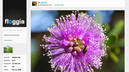 Floggia, compartiendo fotos de la forma más sencilla posible