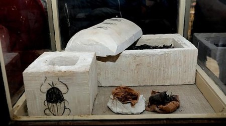 Se encuentran los primeros escarabajos momificados en el Antiguo Egipto