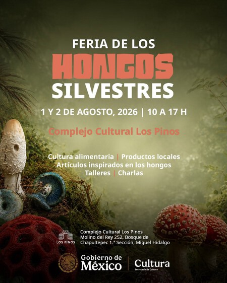 Llega el Festival de los Hongos Silvestres a Los Pinos con platillos tradicionales, talleres y productos artesanales