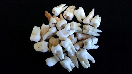 Ahora conoceremos mejor la historia de la humanidad gracias a los dientes