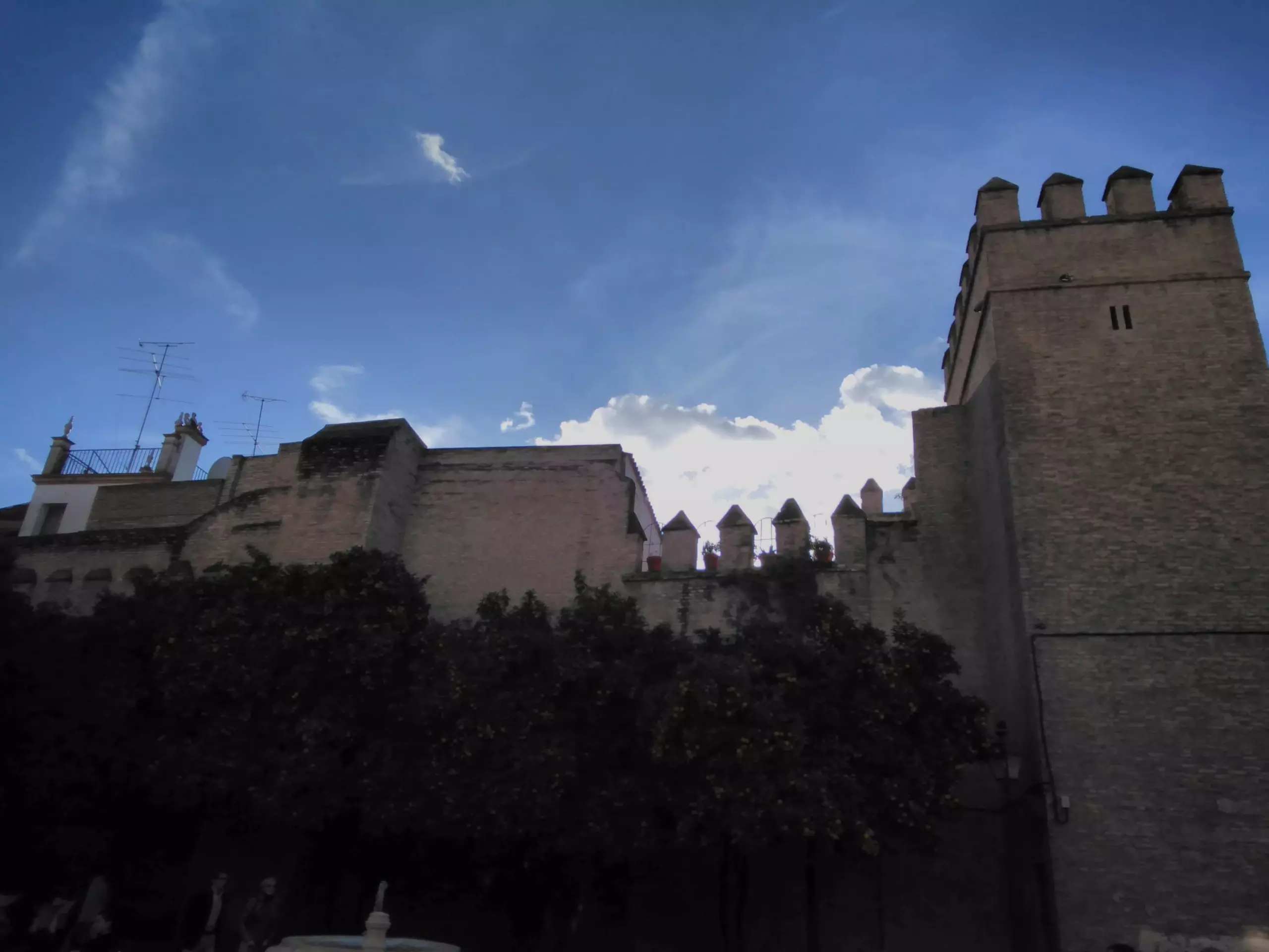 Foto de Fotos tomadas con el Nokia 2.1 (9/39)