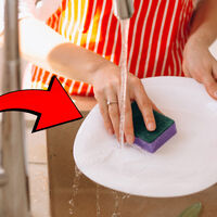 Muchos no lo saben, pero hay varios tipos de fibras para trastes: así puedes identificarlas y usarlas correctamente  