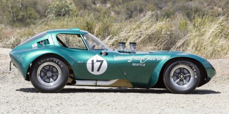 Cheetah Alan Green 1