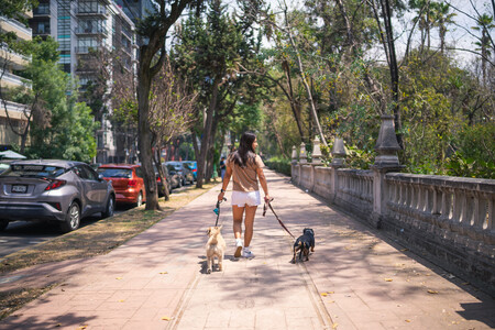 Una mujer paseando dos perros