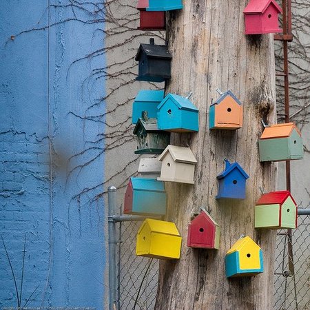 Construir un nido para pajaritos es sencillo