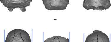 Uma nova espécie humana? Fóssil lendário está obrigando cientistas a repensarem as origens da humanidade 