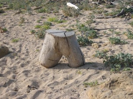 Escultura natural Playa