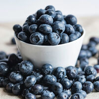 Los nutricionistas recomiendan: una merienda sencilla no lleva galletas, sino nueces y arándanos 