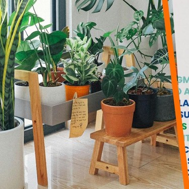 Plant Fest 2025 CDMX: miles de plantas y arbustos en el festival ideal para poner a punto tu jardín