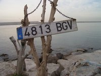 Los distintivos autonómicos en las matrículas de vehículos perjudicarán las ventas