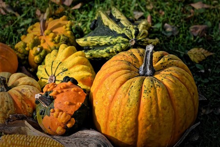 Estas son las frutas y verduras de temporada para el mes de octubre