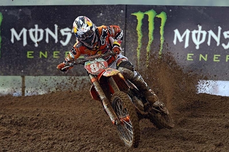 herlings