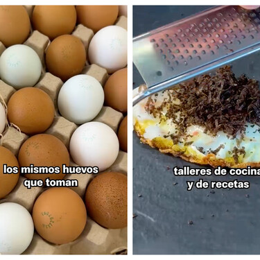 Esta granja de huevos madrileña triunfa entre los chefs con estrella Michelin, pero  todo empezó con el gallo Claudio