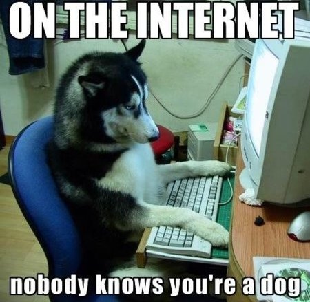 Internet is a series of Blogs (CI)