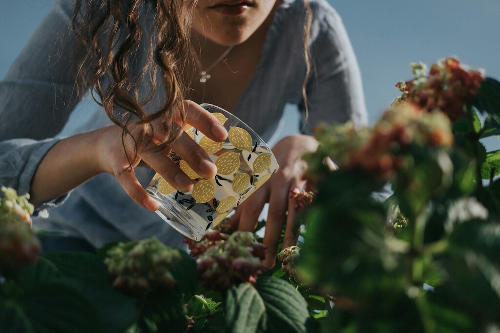 Las plantas se me morían por exceso o escasez de riego hasta que descubrí el truco del palito