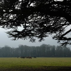 Foto 7 de 20 de la galería fujifilm-x-t2-12-fotos en Xataka Foto