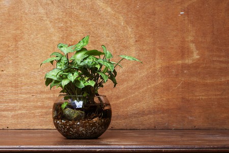 Pexels Arturoaez220 13265424