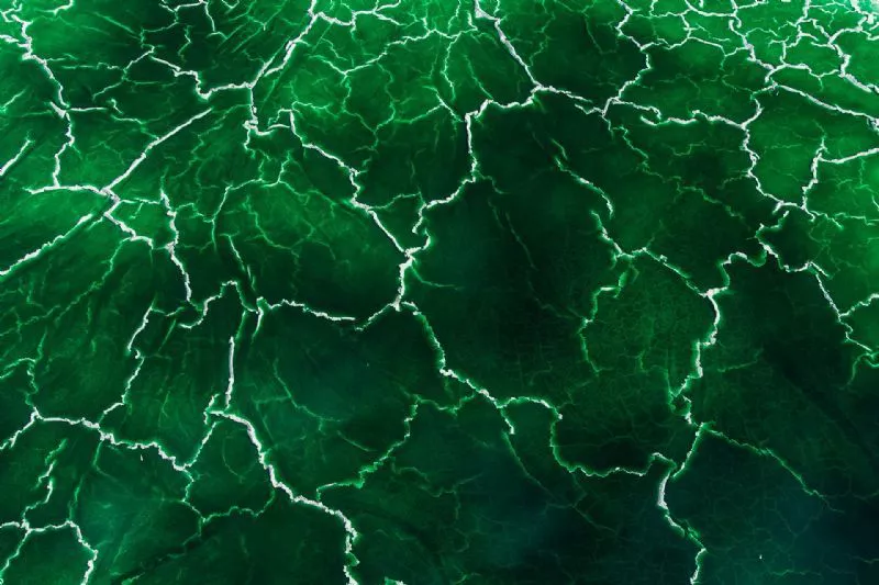 Foto de Denuncia ecológica (9/9)