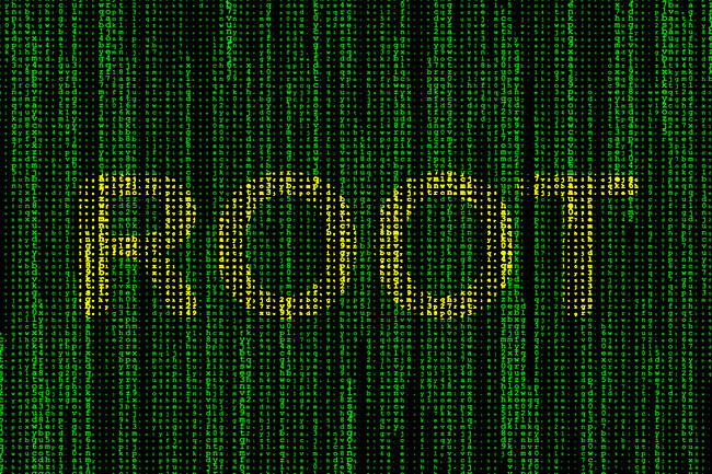 Root