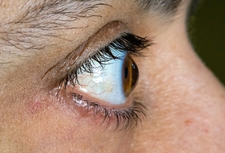 Shutterstock 2629319661