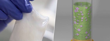 En nuestra batalla contra el plástico, hemos centrifugado bacterias. Y su celulosa se postula como el sustituto ideal